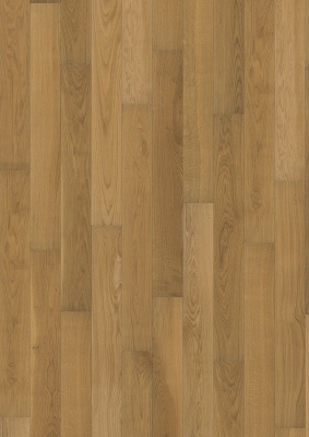 OAK STORY 138 GRAIN BROWN от торгового дома Академия интерьера