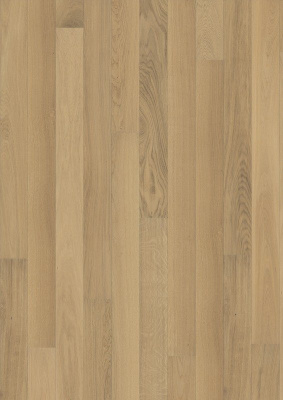 OAK STORY 138 BRUSHED NEW ARCTIC от торгового дома Академия интерьера