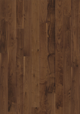 WALNUT STORY 138 SPIRIT от торгового дома Академия интерьера